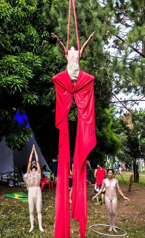 garra forção, foto 3